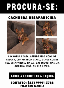 Procura-se minha cachorrinha