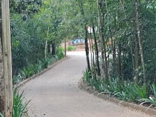 TERRENO NO COND. SALTO DAS BANANEIRAS - RIO IVAI - PR