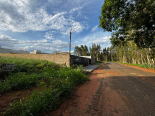 Terreno Rosana