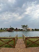 Fazenda Região de Alto Paraná e Paranavaí