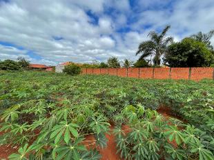 TERRENO RIBERÃO DO SUL