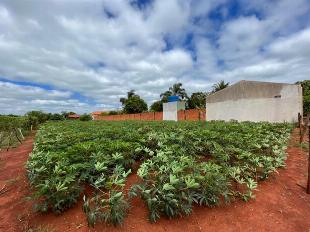 TERRENO RIBERÃO DO SUL