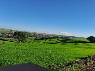 VENDA DE SÍTIO, COM RESERVA NATURAL E A TRANQUILIDADE DO AMBIENTE RURAL