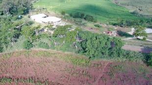 Pousada em Maringa