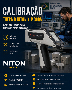 THERMO FISHER NITON BRASIL
