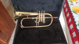 Vendo Flugelhorn semi novo