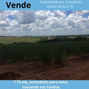 Vendo 7,72 alqueires entre Presidente Castelo Branco e Florai