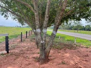 ÁREA DE LAZER ENTRE TERRA RICA E DIAMANTE DO NORTE