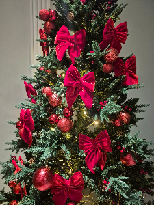 Imagem do anuncio Locação Árvore de Natal