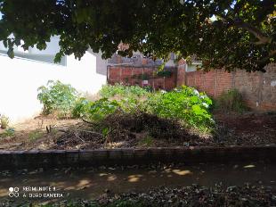 Terreno à venda no Jardim Paulista - Maringá - Oportunidade!