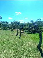 FAZENDA À VENDA COM 400 HECTARES NA CIDADE DE CAÇARATIBA EM MINAS GERAIS