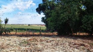 Chácara para venda possui 4000 m² em Condomínio Recanto das Rosas - Maringá - PR.