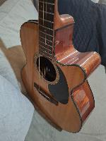 Violao Takamine EG220C Series