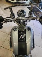 HARLEY-DAVIDSON FLSTN 2015