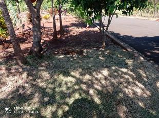 CHÁCARA 1769 M² - R$ 180.000,00