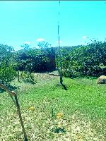 FAZENDA À VENDA COM 400 HECTARES NA CIDADE DE CAÇARATIBA EM MINAS GERAIS