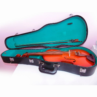 Viola Luthier Couto