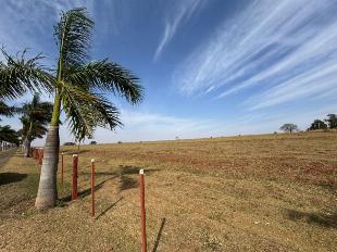Fazenda Região de Alto Paraná e Paranavaí