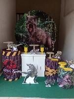 Decoração pegue e monte disponível para locação preço promocional apenas 100