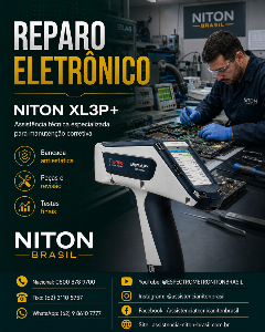 THERMO FISHER NITON BRASIL