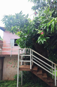 CHACARA VALE AZUL TROCA POR CASA