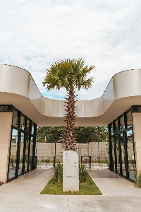 PALM 786 HOME CLUB