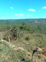 FAZENDA À VENDA COM 400 HECTARES NA CIDADE DE CAÇARATIBA EM MINAS GERAIS