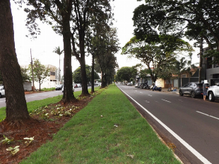 ALUGA-SE CASA DE FUNDOS AV. GUAIAPÓ Nº 2589. JD. LIBERDADE. PRÓX. C.S.U