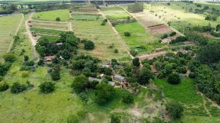 SÍTIO À VENDA ALTO PARANÁ  3,25 ALQUEIRES – PARANÁ