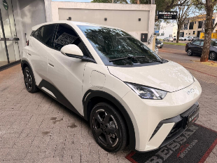 BYD Dolphin Mini (elétrico)