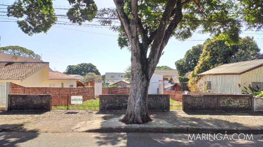 Terreno Res. | 550,40 m² | Vila Morangueira | Maringá/PR