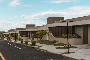 PALM 786 HOME CLUB