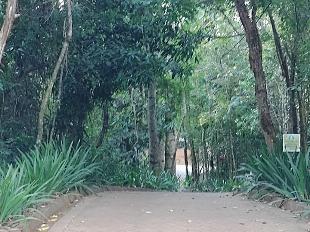 TERRENO NO COND. SALTO DAS BANANEIRAS - RIO IVAI - PR