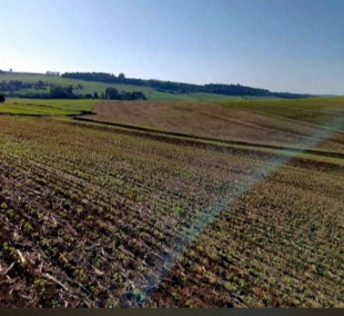 Sitio 05 alqueires - Marialva- Não perca tempo com terra fraca. Aqui o investimento retorna
