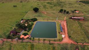 Fazenda Região de Alto Paraná e Paranavaí