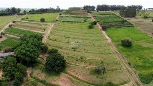 SÍTIO À VENDA ALTO PARANÁ  3,25 ALQUEIRES – PARANÁ