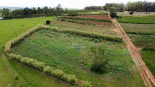 SÍTIO À VENDA ALTO PARANÁ  3,25 ALQUEIRES – PARANÁ