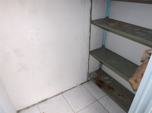 ALUGA-SE CASA DE FUNDOS AV. GUAIAPÓ Nº 2589. JD. LIBERDADE. PRÓX. C.S.U