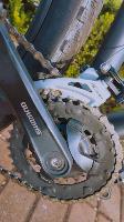 bike Oggi aro 29
