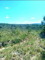 FAZENDA À VENDA COM 400 HECTARES NA CIDADE DE CAÇARATIBA EM MINAS GERAIS