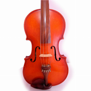 Viola Luthier Couto