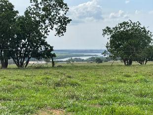 ÁREA DE 40 ALQUEIRE EM TERRA RICA