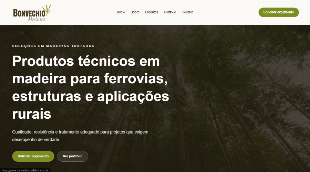 Criação de Sites Profissionais e Sistemas Sob Medida para Empresas