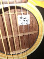 Violao Takamine EG220C Series