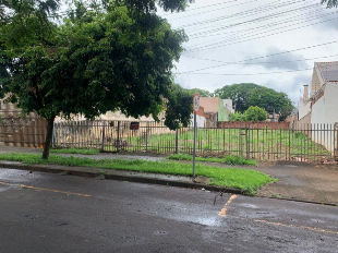 Zona 02