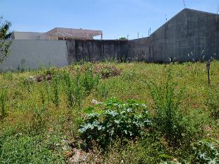 EXCELENTE TERRENO - PARQUE RESIDENCIAL TUIUTI - 453M²
