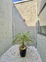 BELÍSSIMA CASA NO JARDIM PARIS