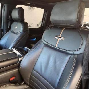 FORD F150 PLATINUM 2023