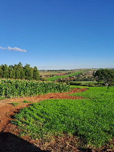 VENDA DE SÍTIO, COM RESERVA NATURAL E A TRANQUILIDADE DO AMBIENTE RURAL