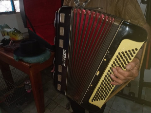 Sanfona (Acordeon) Super Frascatti 120 Baixos Preta – Ótimo Estado